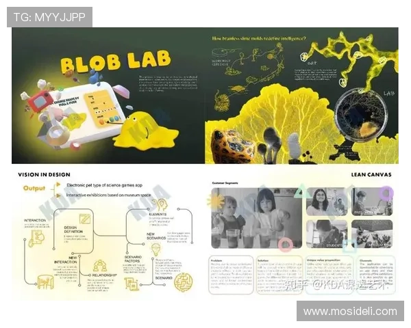 皇家网站登录的安全性与便捷性分析,提升用户体验的重要性