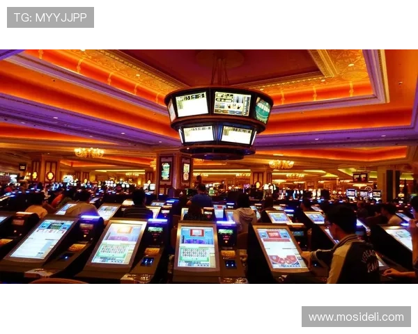 君怡赌场游戏公平性分析保障每位玩家的合法权益