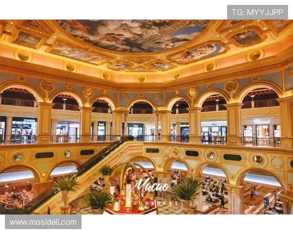 全面解析澳门十大娱乐场的特色与优势，打造完美的博彩娱乐之旅