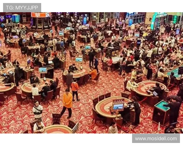 澳门所有赌城名字及其特色介绍，提供全面的赌场信息，满足你对澳门博彩娱乐的所有疑问